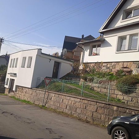 Ubytovani U Nadii Zelezny Brod Buitenkant foto
