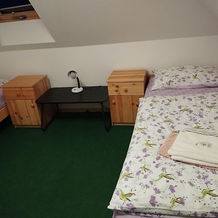 Ubytovani U Nadii Zelezny Brod Buitenkant foto