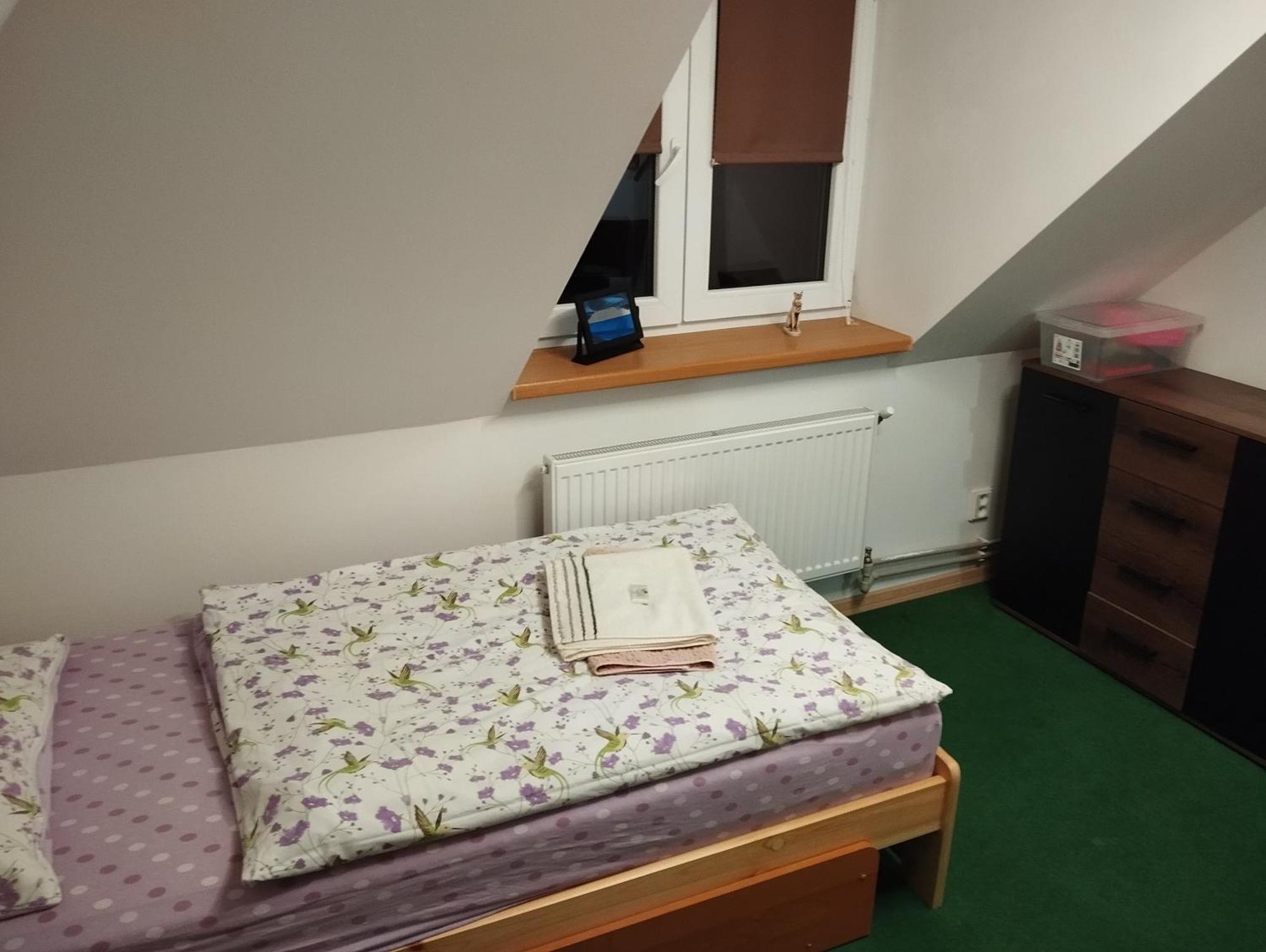 Ubytovani U Nadii Zelezny Brod Buitenkant foto