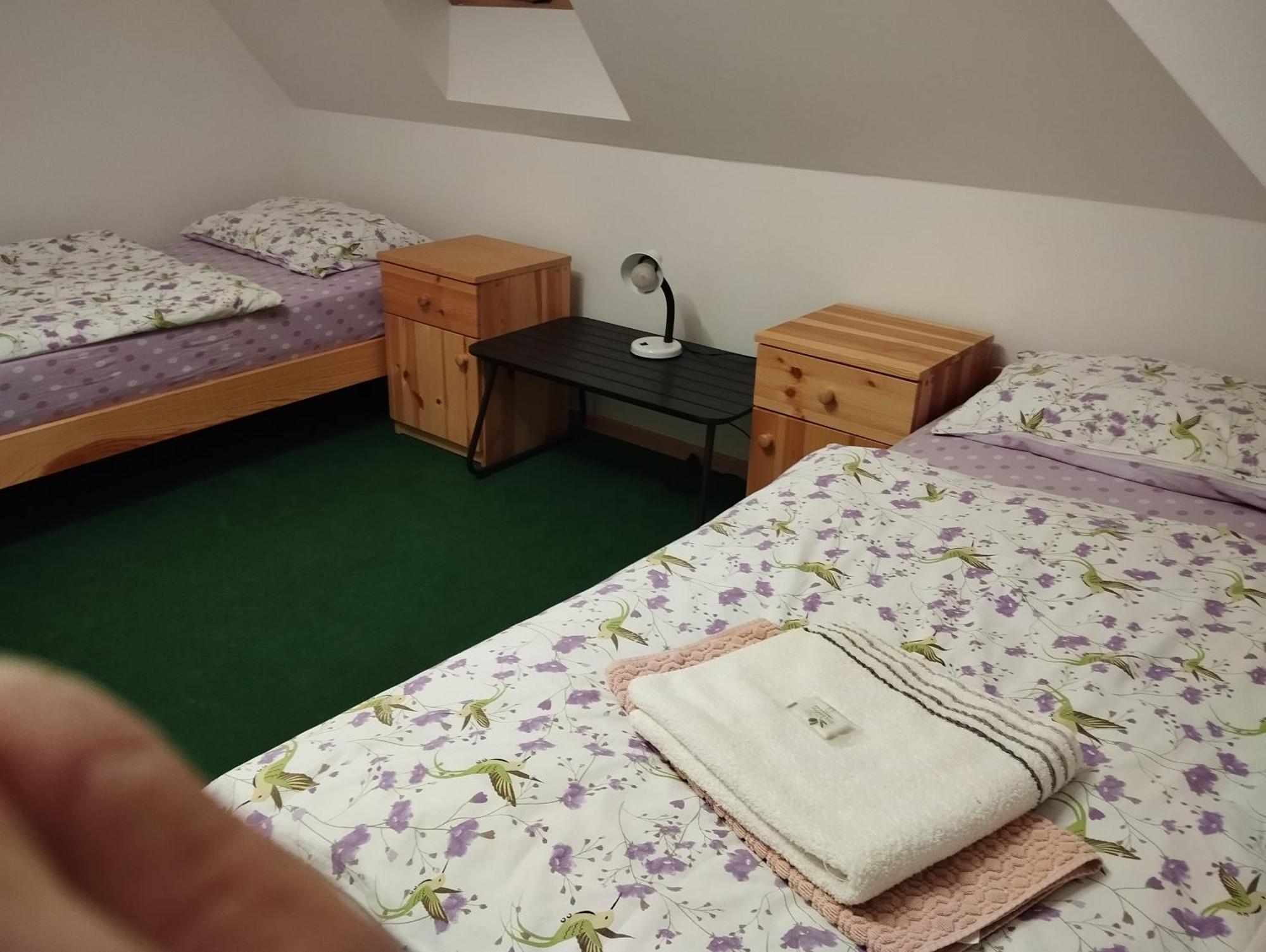 Ubytovani U Nadii Zelezny Brod Buitenkant foto